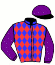 Casaque du jockey de Muse Du Loisir
