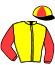 Casaque du jockey de La River D'Eccam
