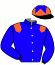 Casaque du jockey de Master Des Carres