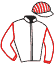 Casaque du jockey de Nikita Gold