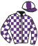 Casaque du jockey de Ois Tschikago