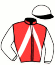 Casaque du jockey de Hidao De La Goutte