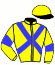 Casaque du jockey de Mode Du Vallon