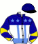 Casaque du jockey de Gold Eagle Pi