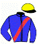 Casaque du jockey de Hubble Du Vivier