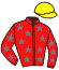 Casaque du jockey de L'Amiral Darling