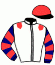 Casaque du jockey de Laroze Du Gers