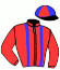 Casaque du jockey de Misthos Christal