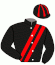 Casaque du jockey de Great Pride