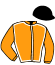 Casaque du jockey de Ma Piece D'Or