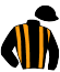 Casaque du jockey de Nelson De Busset