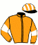 Casaque du jockey de Instigateur