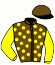 Casaque du jockey de Ikitori