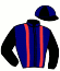 Casaque du jockey de Harmony Du Rabutin