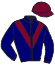 Casaque du jockey de Nord Americaine