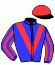 Casaque du jockey de Futur Du Chene