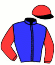 Casaque du jockey de Nikkei Pont Royal