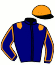 Casaque du jockey de Gaelic Du Rocher