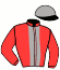 Casaque du jockey de Gold Dairpet