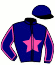 Casaque du jockey de Dozule Gitan
