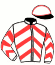 Casaque du jockey de Glamour Eagle