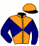 Casaque du jockey de Gino Des Dunes