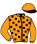 Casaque du jockey de Larry Du Doubs