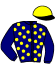 Casaque du jockey de Jolicoeur Du Mirel
