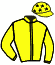Casaque du jockey de Like Dad