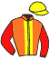 Casaque du jockey de Richauneradoxe