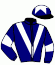 Casaque du jockey de Marquise Des Iles
