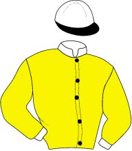 Casaque du jockey de Nika De Kor