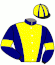 Casaque du jockey de Dailygin Starsix
