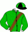 Casaque du jockey de Hawk Eyed Girl
