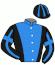 Casaque du jockey de Kallsjoviking