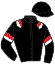Casaque du jockey de Global Everglow