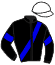 Casaque du jockey de Indy Boy