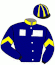 Casaque du jockey de Pure Stella
