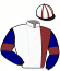 Casaque du jockey de Hemisphere