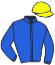 Casaque du jockey de Manskenstosen