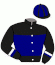 Casaque du jockey de Gordini Brick