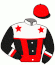 Casaque du jockey de Chevalier Indika