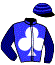 Casaque du jockey de Schutzenzauber