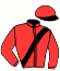 Casaque du jockey de The Circus