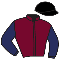 Casaque du jockey de Go Flying