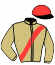 Casaque du jockey de Fire And Ice