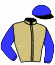 Casaque du jockey de Marmalade Lady