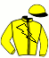 Casaque du jockey de Pasha Al Gunay