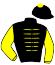 Casaque du jockey de Garfield