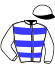 Casaque du jockey de Mister Wonderful